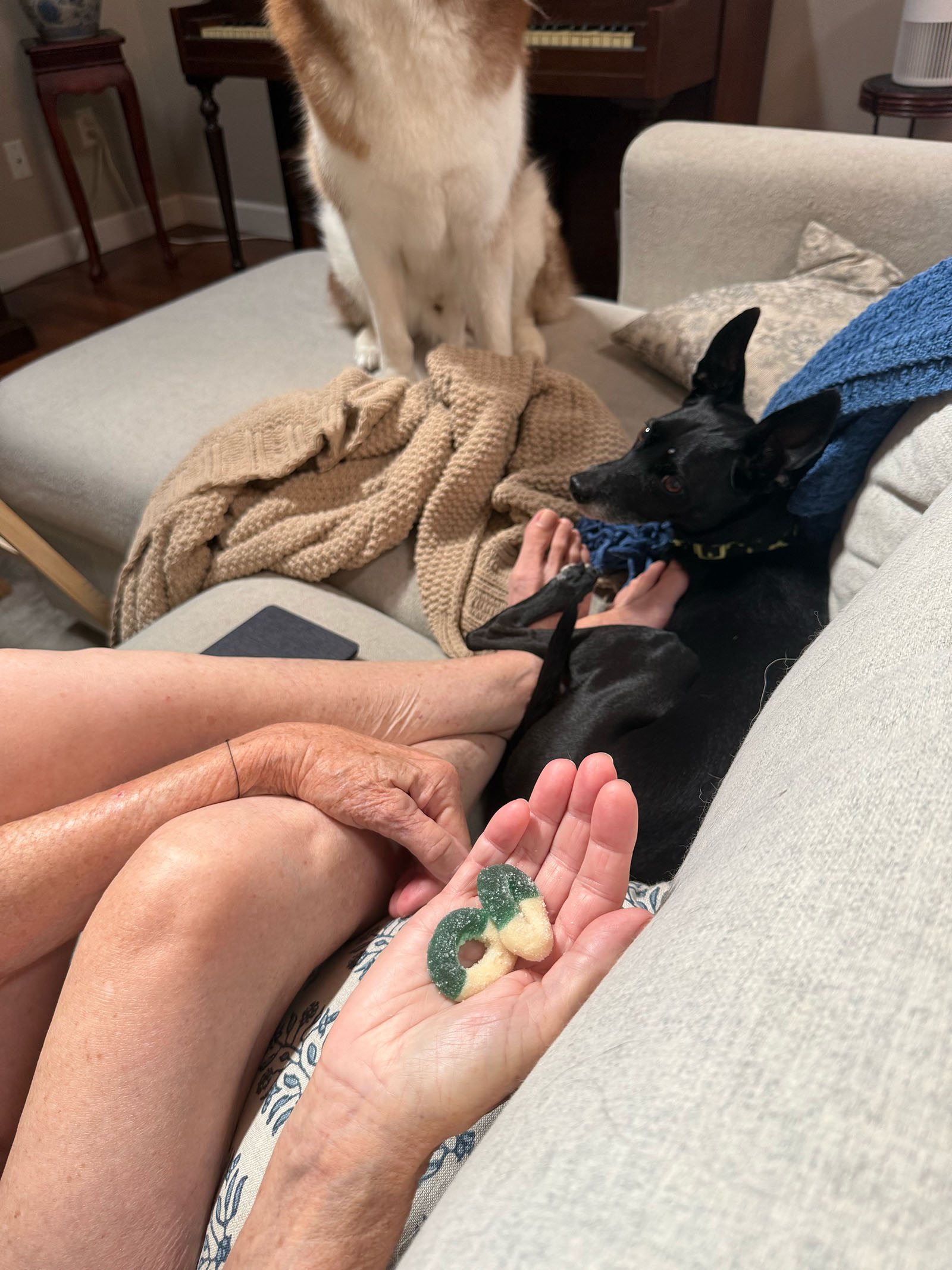 Simple reliable support